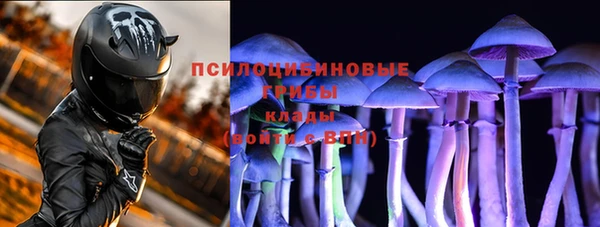 ГАЛЛЮЦИНОГЕННЫЕ ГРИБЫ Алексеевка