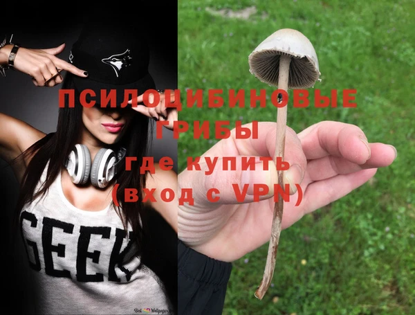 сатива Алзамай