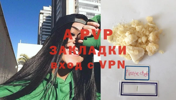 сатива Алзамай